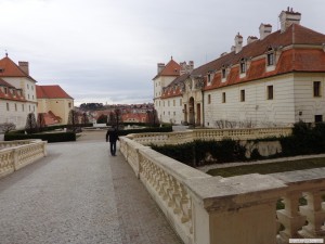 dsc00674