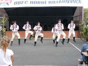 vinobran hor.boj 064